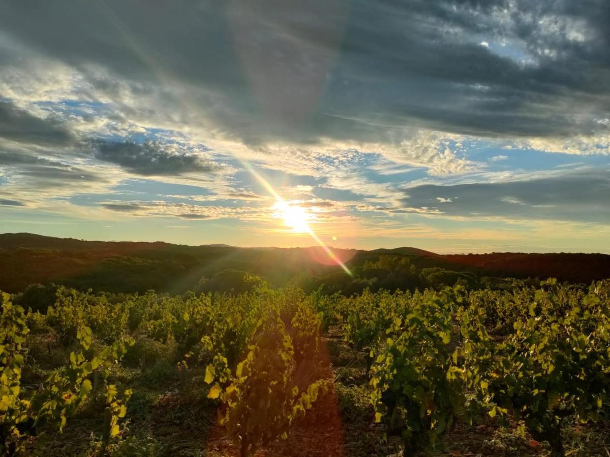 ホテル La Galante Faugères エクステリア 写真