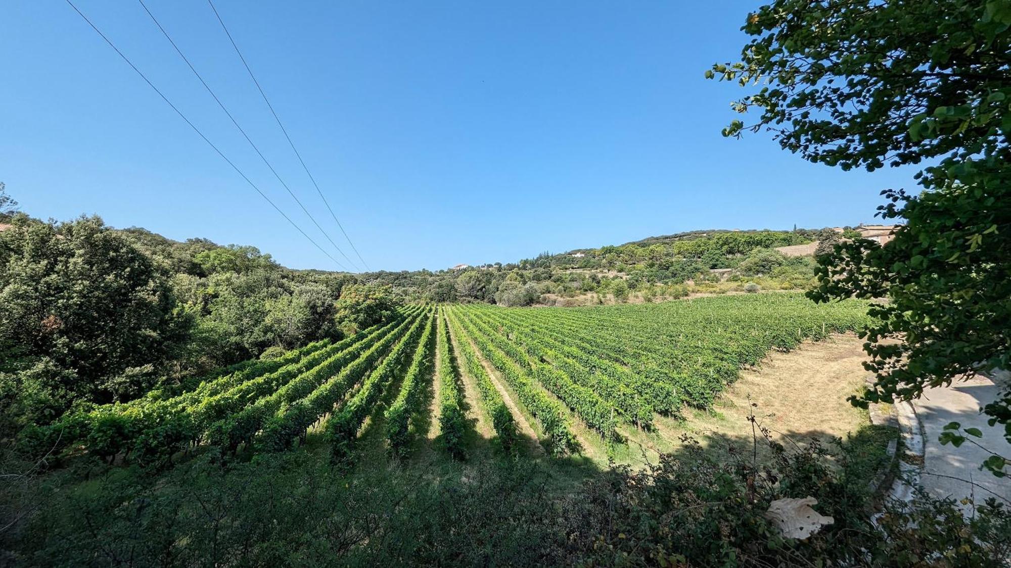 ホテル La Galante Faugères エクステリア 写真